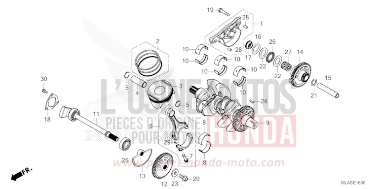 VILEBREQUIN/PISTON de CMX 1100 "Rebel" IRIDIUM GRAY METALLIC (NHC65) de 2025